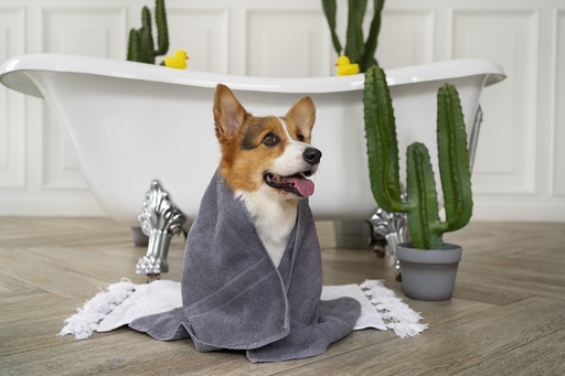 Baño clásico para mascota mini