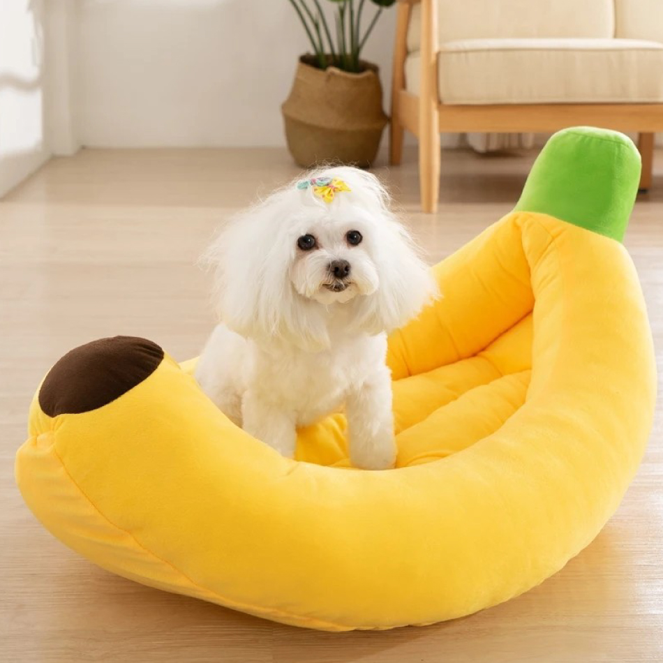 [PH-ACC0049] CAMA TIPO PLATANO TALLA S