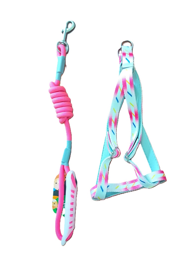 [PH-ACC0091] ARNES TALLA M Y5420046