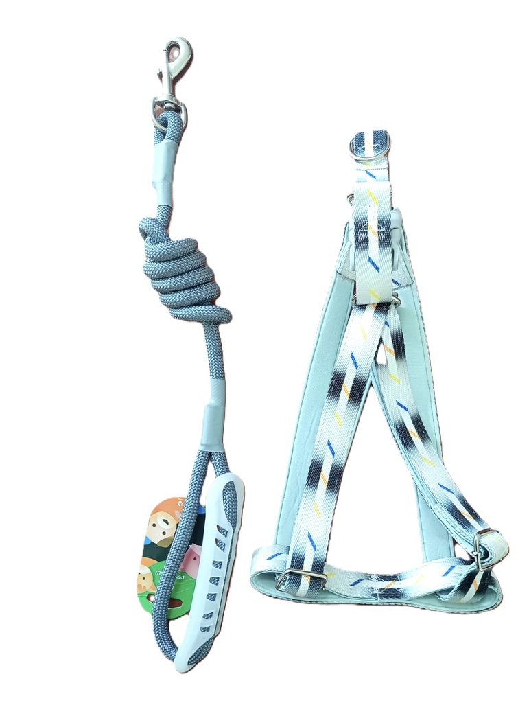 [PH-ACC0092] ARNES TALLA L Y5420047