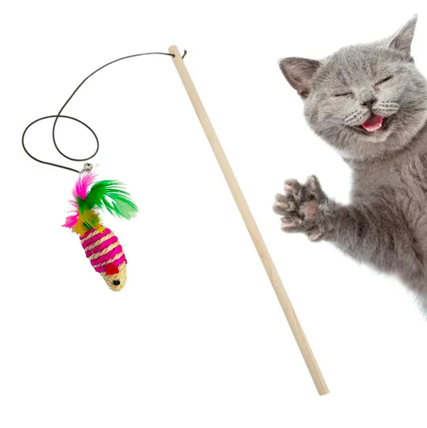 [PH-ACC0113] VARITA RATON G2004