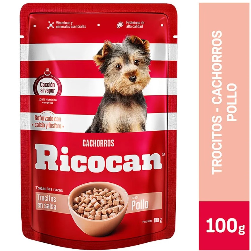 RICOCAN TROC SB POLLO CACH POUCH 100GR
