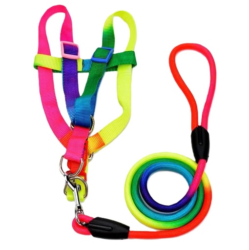 [PH-ACC0054] ARNES ARCOIRIS CON SOGA T-L R5006/JJ3500283