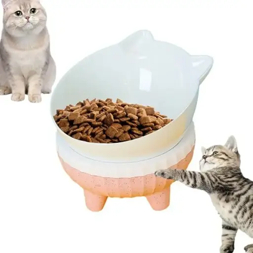 [PH-ACC0156] CUENCA DE GATO CON PATITAS
